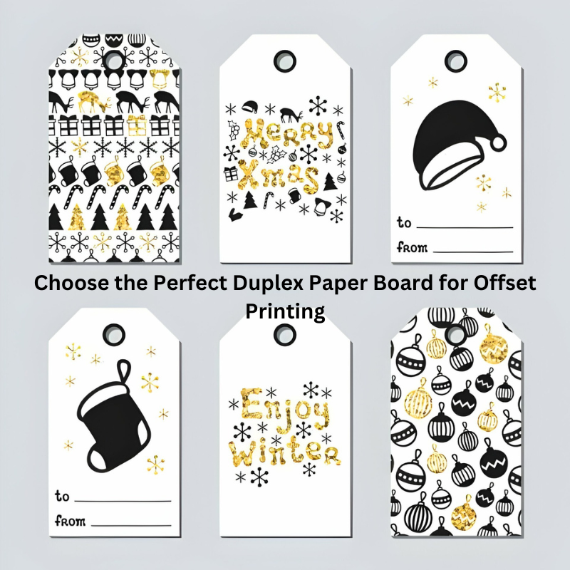 Duplex Paper Board for Offset Printing