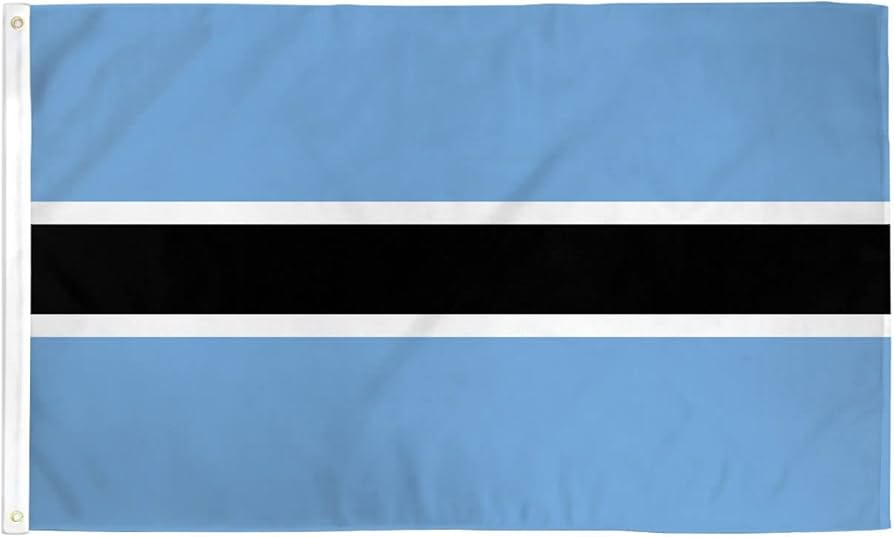 Duplex paper boards manufacturer and export to Botswana