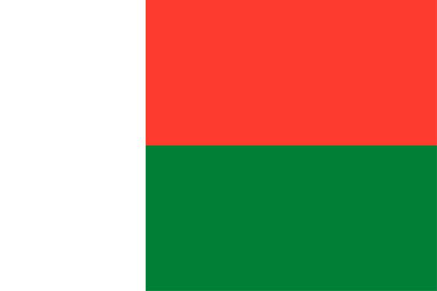 Duplex paper boards manufacturer and export to Madagascar