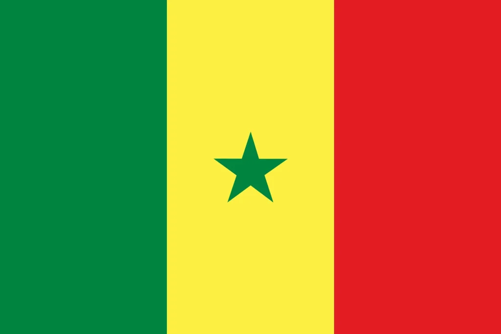 Duplex paper boards manufacturer and export to Senegal