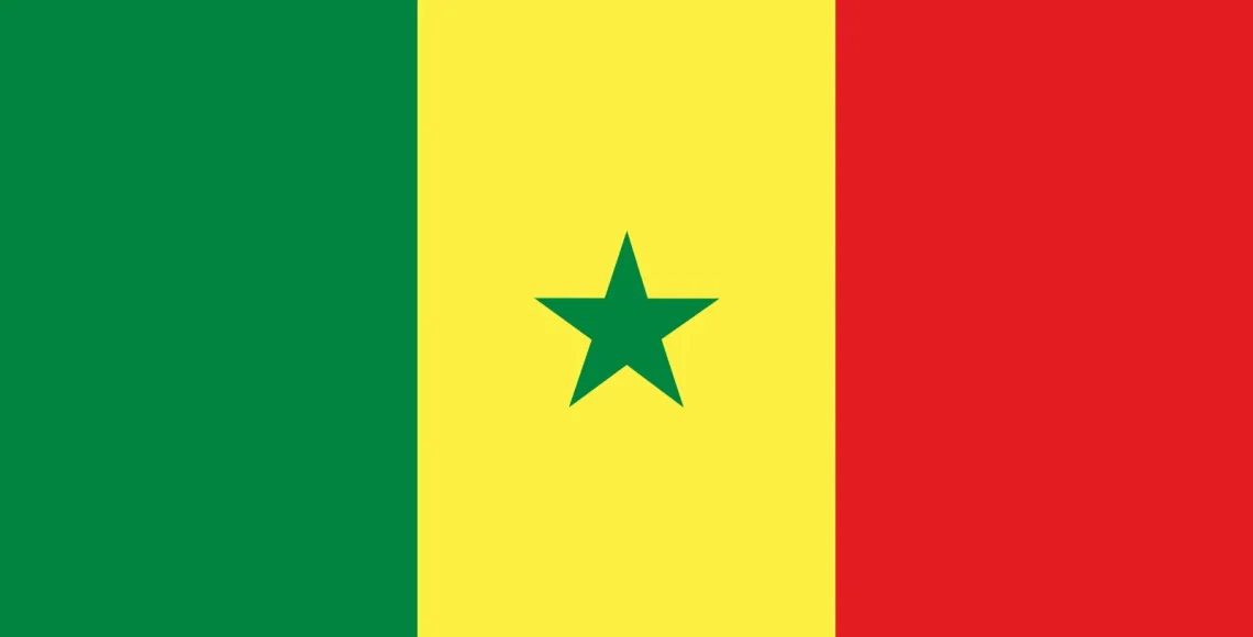 Duplex paper boards manufacturer and export to Senegal