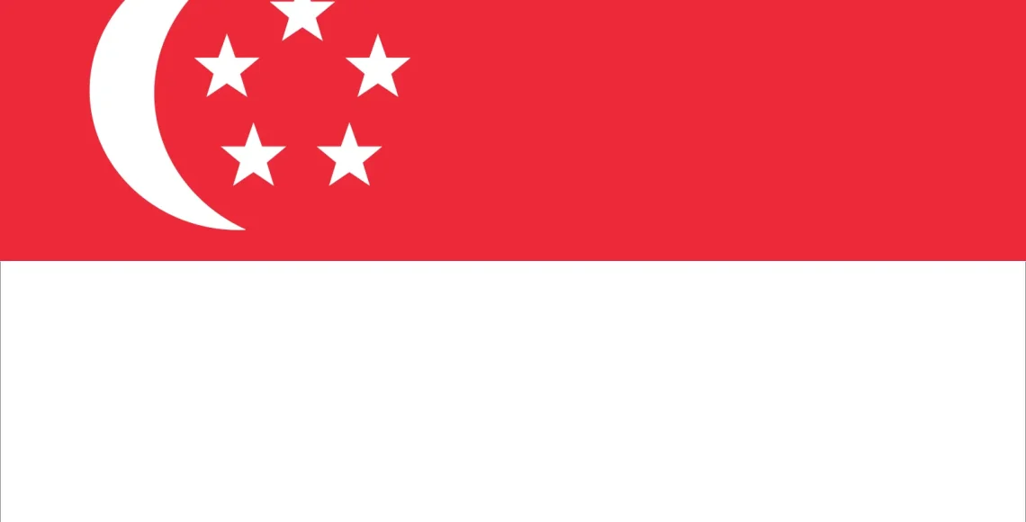 Duplex paper boards manufacturer and export to Singapore