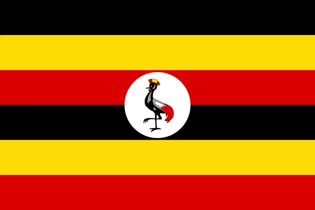 Duplex paper boards manufacturer and export to Uganda