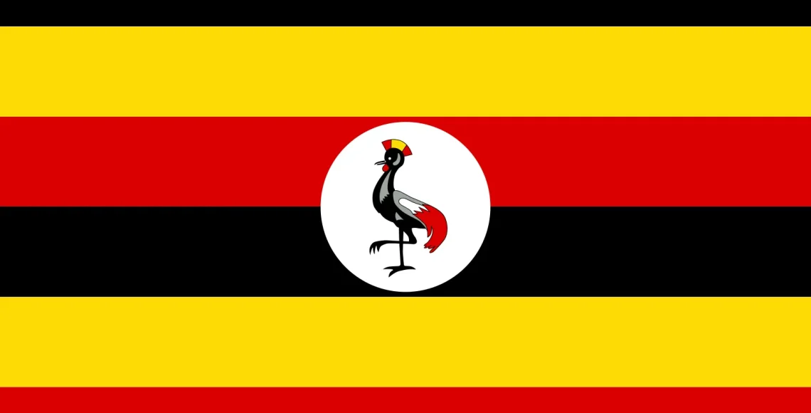 Duplex paper boards manufacturer and export to Uganda