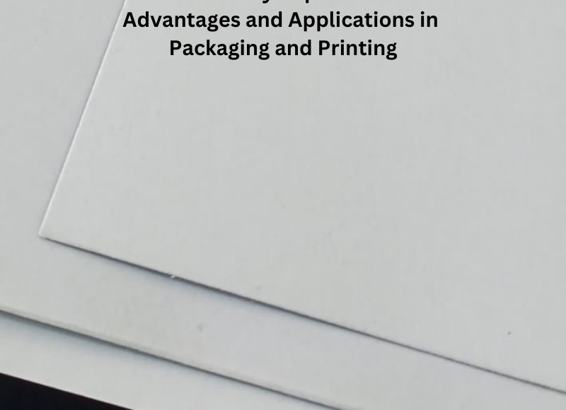 Ivory Paper: Advantages and Applications in Packaging and Printing