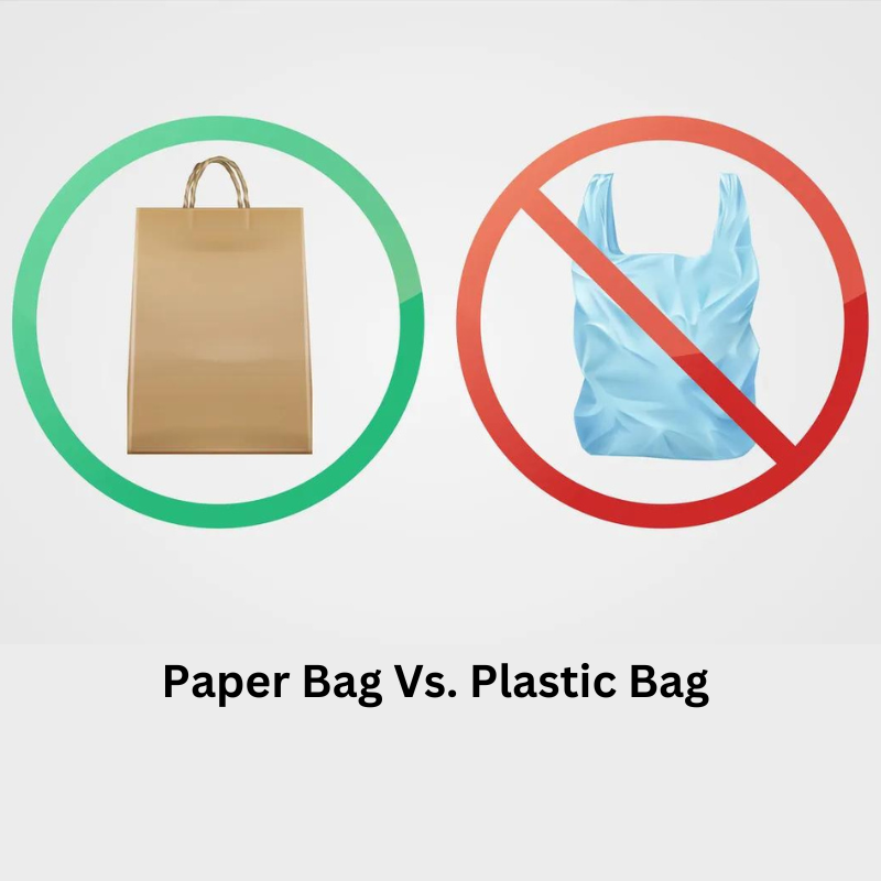 plastic bag vs paper bag