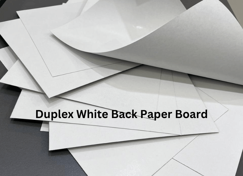 Duplex White Back Paper Board India